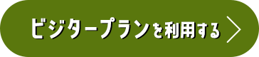 ビジタープラン利用するる